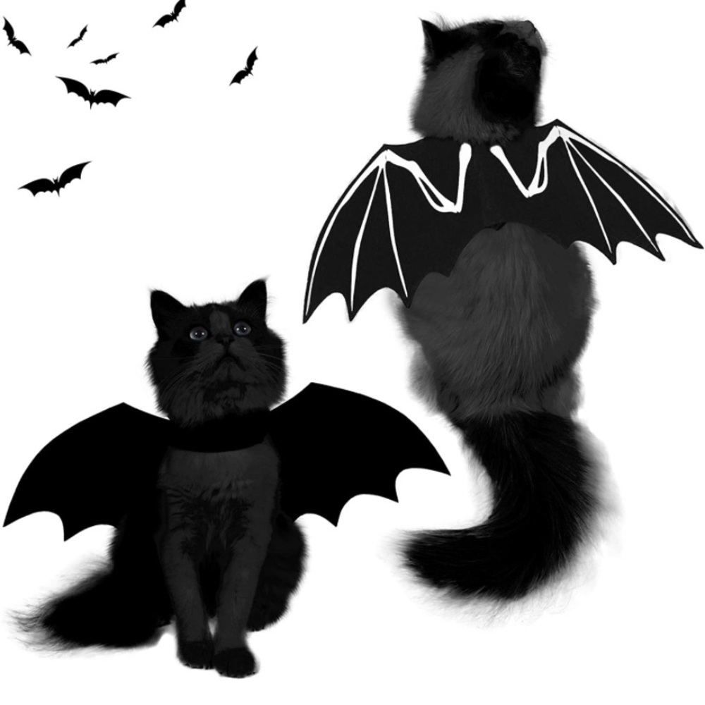 Halloween Bat Wings